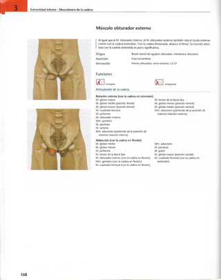 “EL LIBRO DE LOS MUSCULOS-VALERIUS” .pdf