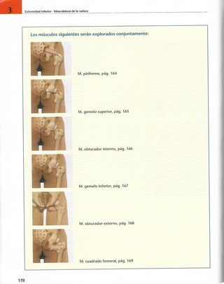 “EL LIBRO DE LOS MUSCULOS-VALERIUS” .pdf