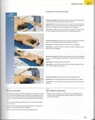 “EL LIBRO DE LOS MUSCULOS-VALERIUS” .pdf