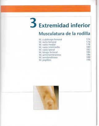 “EL LIBRO DE LOS MUSCULOS-VALERIUS” .pdf