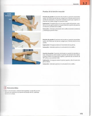 “EL LIBRO DE LOS MUSCULOS-VALERIUS” .pdf