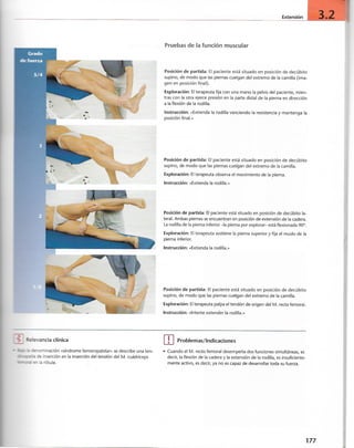 “EL LIBRO DE LOS MUSCULOS-VALERIUS” .pdf