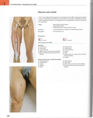 “EL LIBRO DE LOS MUSCULOS-VALERIUS” .pdf