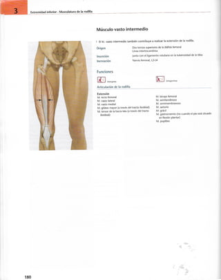 “EL LIBRO DE LOS MUSCULOS-VALERIUS” .pdf