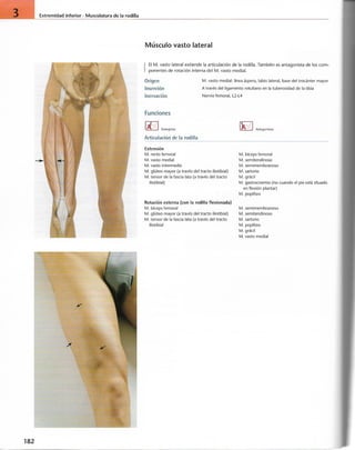 “EL LIBRO DE LOS MUSCULOS-VALERIUS” .pdf