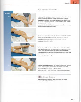 “EL LIBRO DE LOS MUSCULOS-VALERIUS” .pdf