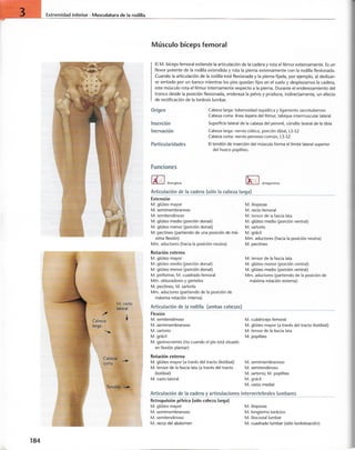 “EL LIBRO DE LOS MUSCULOS-VALERIUS” .pdf