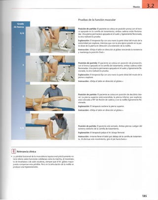 “EL LIBRO DE LOS MUSCULOS-VALERIUS” .pdf