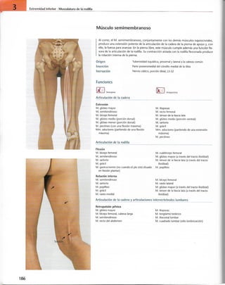 “EL LIBRO DE LOS MUSCULOS-VALERIUS” .pdf