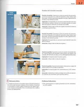 “EL LIBRO DE LOS MUSCULOS-VALERIUS” .pdf