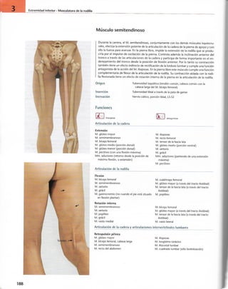 “EL LIBRO DE LOS MUSCULOS-VALERIUS” .pdf