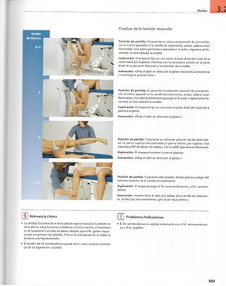 “EL LIBRO DE LOS MUSCULOS-VALERIUS” .pdf