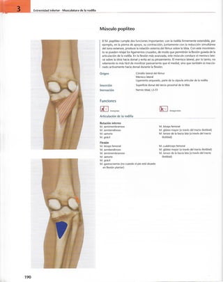 “EL LIBRO DE LOS MUSCULOS-VALERIUS” .pdf
