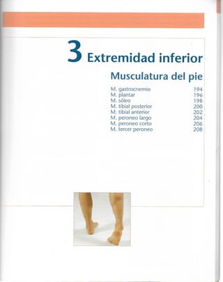 “EL LIBRO DE LOS MUSCULOS-VALERIUS” .pdf