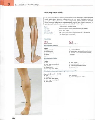 “EL LIBRO DE LOS MUSCULOS-VALERIUS” .pdf