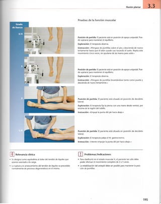 “EL LIBRO DE LOS MUSCULOS-VALERIUS” .pdf