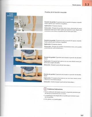 “EL LIBRO DE LOS MUSCULOS-VALERIUS” .pdf