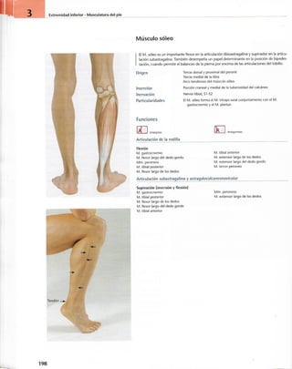 “EL LIBRO DE LOS MUSCULOS-VALERIUS” .pdf