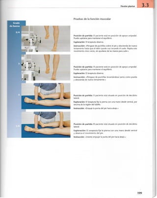 “EL LIBRO DE LOS MUSCULOS-VALERIUS” .pdf