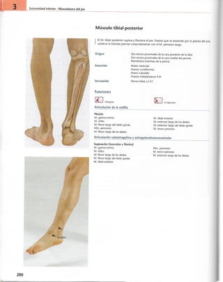 “EL LIBRO DE LOS MUSCULOS-VALERIUS” .pdf