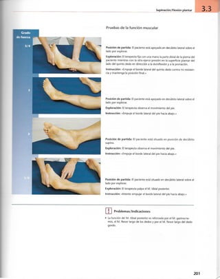 “EL LIBRO DE LOS MUSCULOS-VALERIUS” .pdf