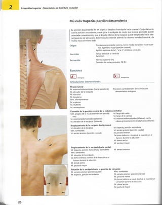 “EL LIBRO DE LOS MUSCULOS-VALERIUS” .pdf