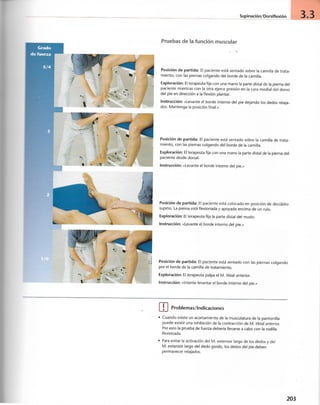 “EL LIBRO DE LOS MUSCULOS-VALERIUS” .pdf