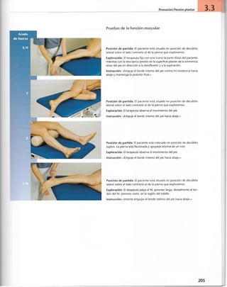 “EL LIBRO DE LOS MUSCULOS-VALERIUS” .pdf