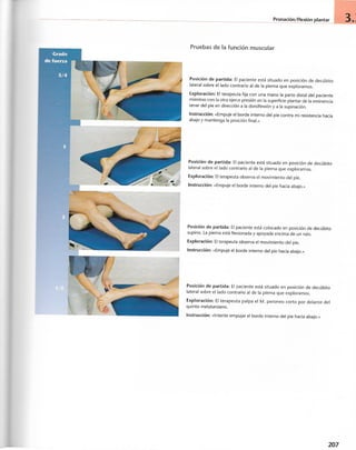 “EL LIBRO DE LOS MUSCULOS-VALERIUS” .pdf