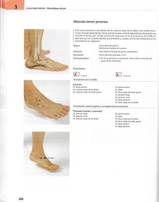 “EL LIBRO DE LOS MUSCULOS-VALERIUS” .pdf