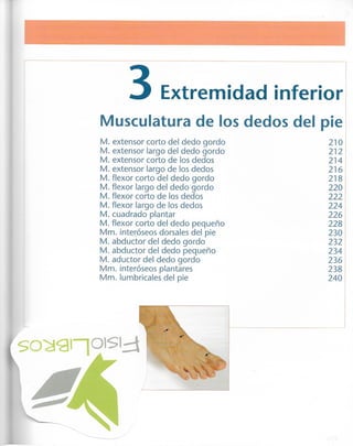 “EL LIBRO DE LOS MUSCULOS-VALERIUS” .pdf