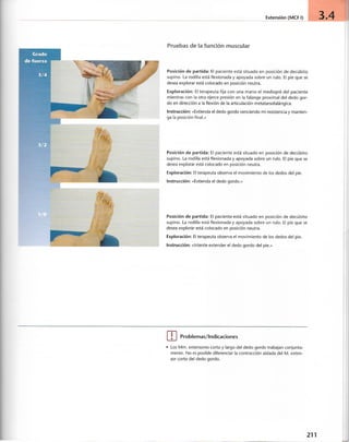 “EL LIBRO DE LOS MUSCULOS-VALERIUS” .pdf