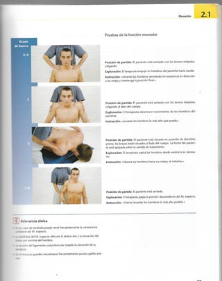 “EL LIBRO DE LOS MUSCULOS-VALERIUS” .pdf