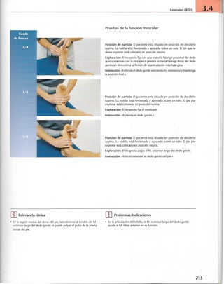 “EL LIBRO DE LOS MUSCULOS-VALERIUS” .pdf