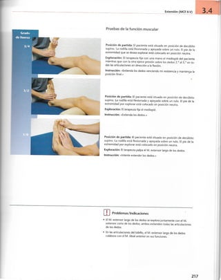 “EL LIBRO DE LOS MUSCULOS-VALERIUS” .pdf