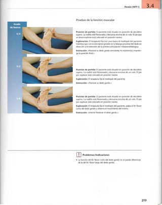 “EL LIBRO DE LOS MUSCULOS-VALERIUS” .pdf