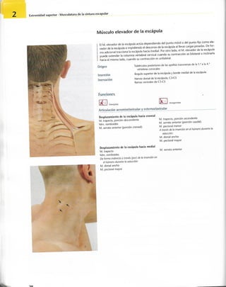 “EL LIBRO DE LOS MUSCULOS-VALERIUS” .pdf