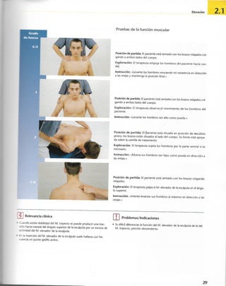 “EL LIBRO DE LOS MUSCULOS-VALERIUS” .pdf