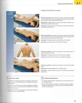 “EL LIBRO DE LOS MUSCULOS-VALERIUS” .pdf