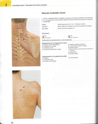 “EL LIBRO DE LOS MUSCULOS-VALERIUS” .pdf