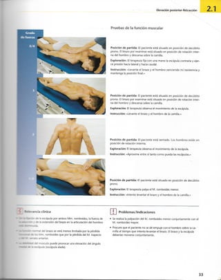 “EL LIBRO DE LOS MUSCULOS-VALERIUS” .pdf