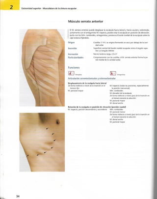 “EL LIBRO DE LOS MUSCULOS-VALERIUS” .pdf