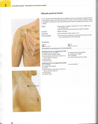 “EL LIBRO DE LOS MUSCULOS-VALERIUS” .pdf