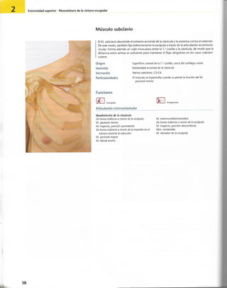 “EL LIBRO DE LOS MUSCULOS-VALERIUS” .pdf