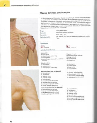 “EL LIBRO DE LOS MUSCULOS-VALERIUS” .pdf