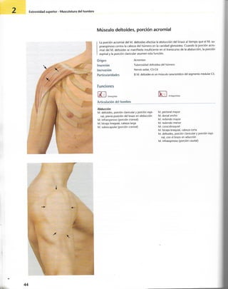 “EL LIBRO DE LOS MUSCULOS-VALERIUS” .pdf