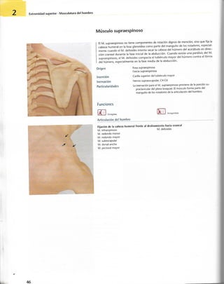 “EL LIBRO DE LOS MUSCULOS-VALERIUS” .pdf