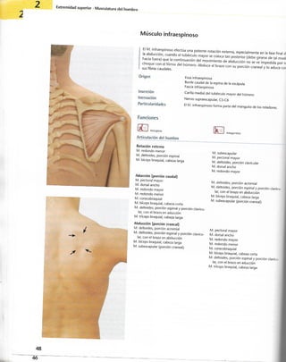 “EL LIBRO DE LOS MUSCULOS-VALERIUS” .pdf