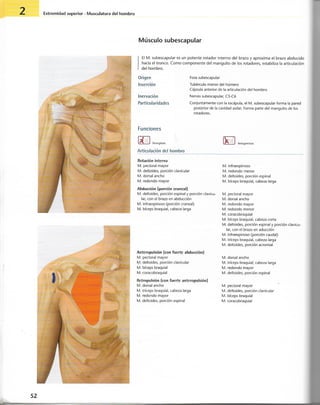 “EL LIBRO DE LOS MUSCULOS-VALERIUS” .pdf
