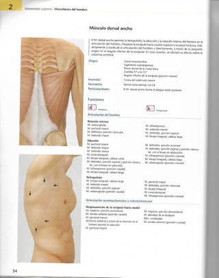 “EL LIBRO DE LOS MUSCULOS-VALERIUS” .pdf